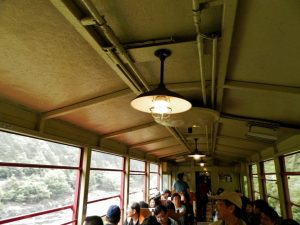 トロッコ列車の天井と裸電球